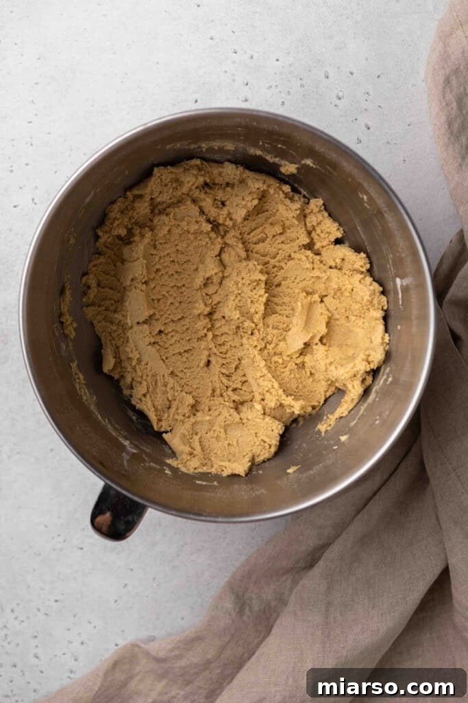 Soft and perfectly mixed churro cookie dough, ready for shaping.