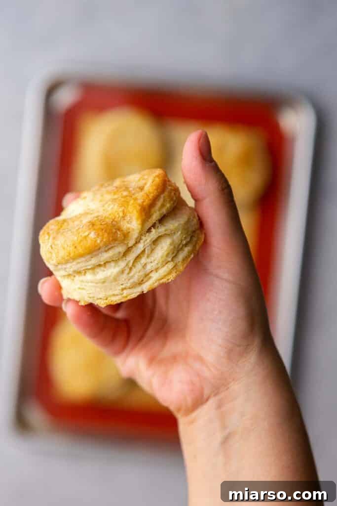 Hand holding a perfectly flaky homemade buttermilk biscuit, golden brown and inviting.