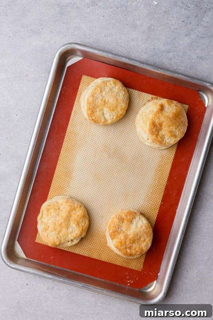A freshly baked batch of four small-batch biscuits, golden and appealing, on a baking sheet.