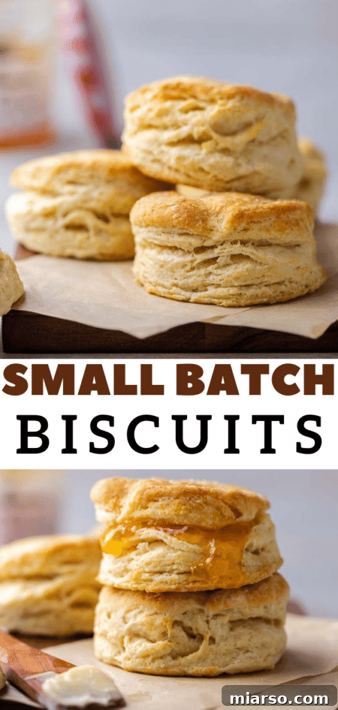 Small batch biscuits for two - recipe idea