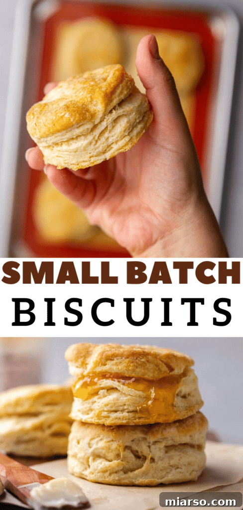 Flaky homemade buttermilk biscuits for a small serving, perfect for two