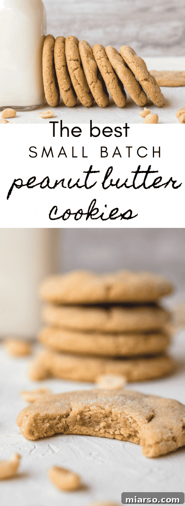 Soft and chewy peanut butter cookies with a bite taken out, enticing for Pinterest