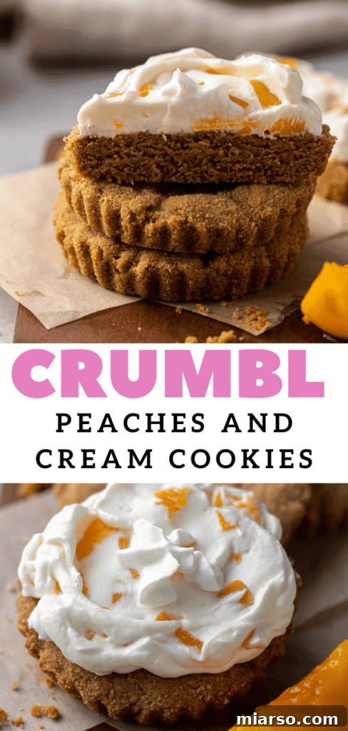 An appetizing image of a graham cracker cookie with a generous topping of peaches and cream, perfect for sharing and saving.