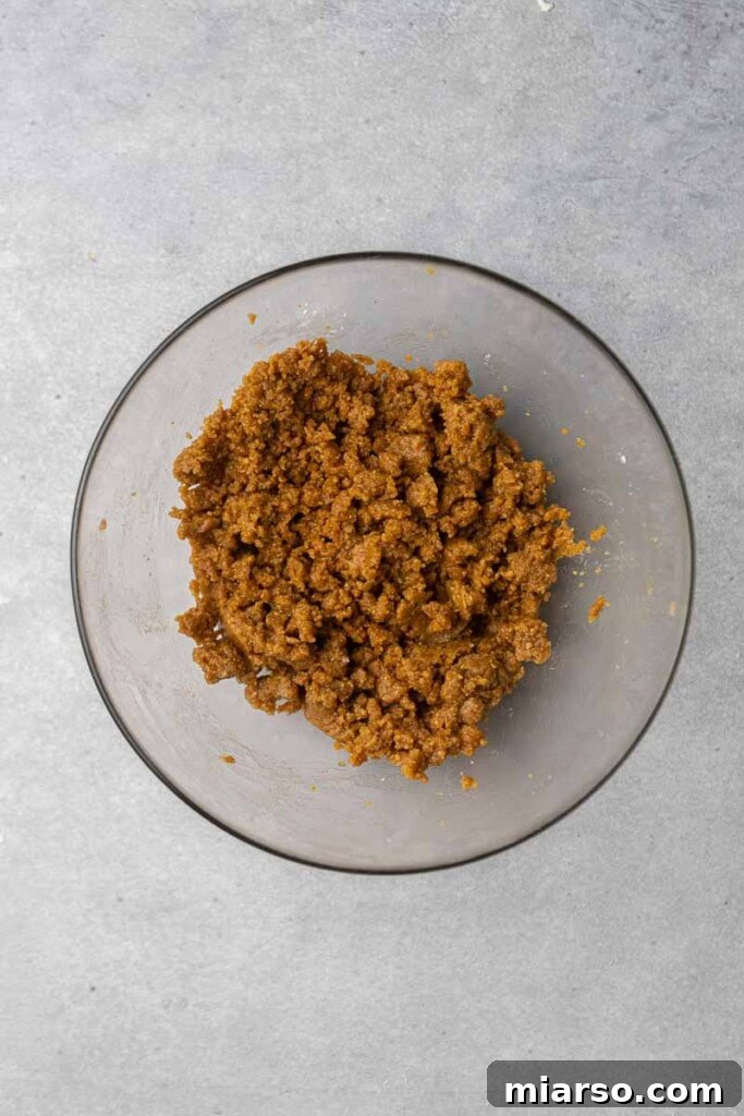 A bowl filled with the graham cracker cookie dough mixture, ready for shaping, highlighting its unique texture.