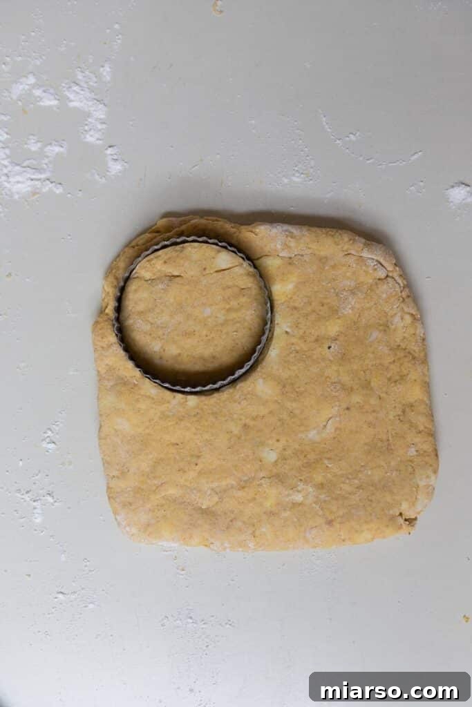 Flattened biscuit dough ready for cutting
