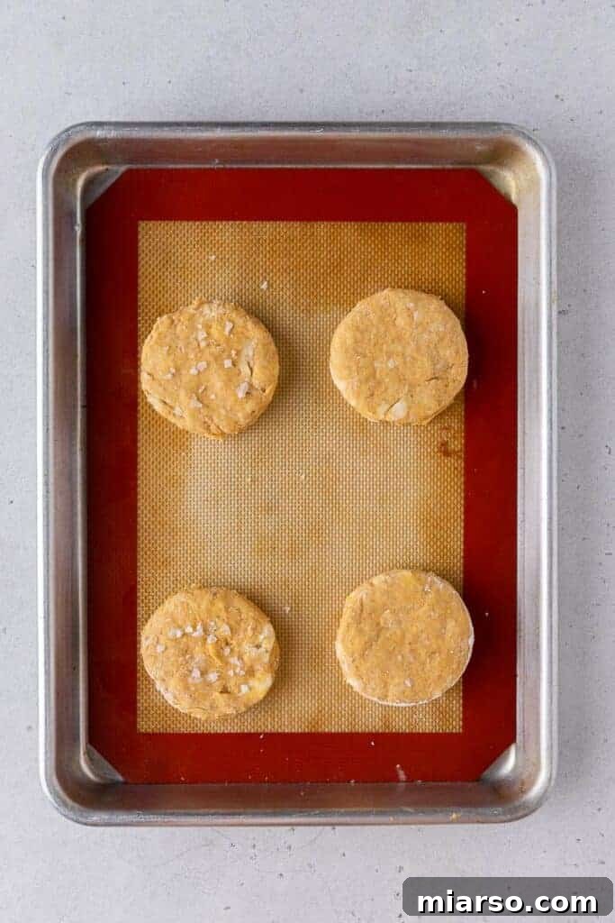 Cut pumpkin biscuit dough on baking sheet