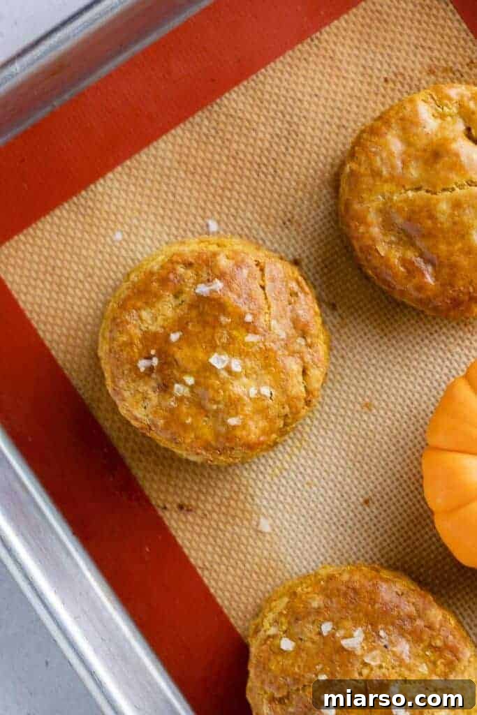 Freshly baked pumpkin biscuits