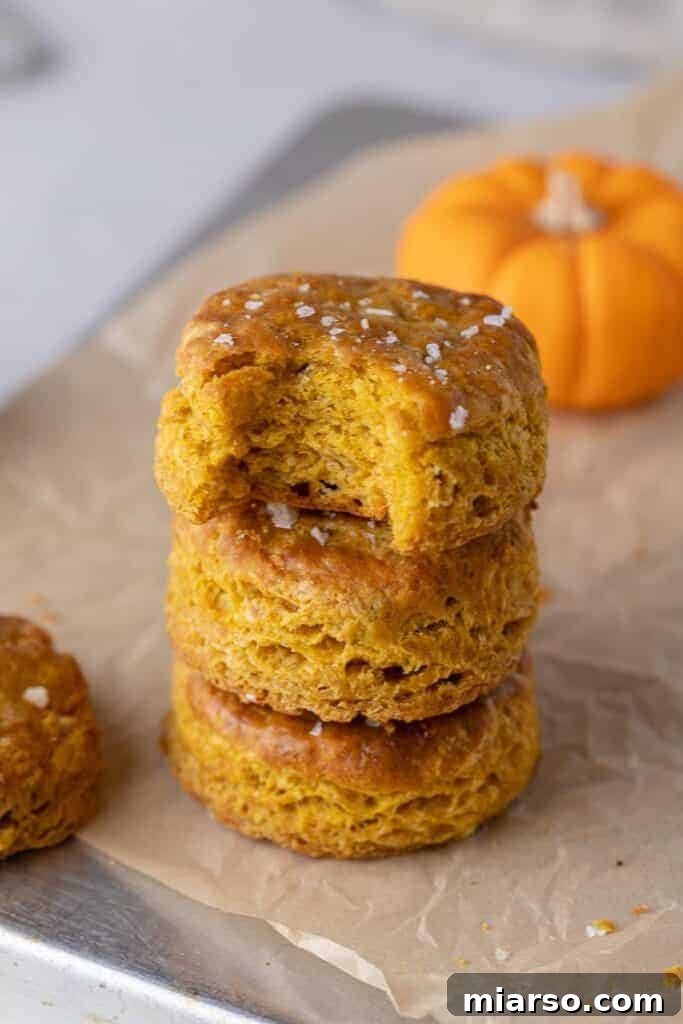 Two small batch pumpkin biscuits stacked
