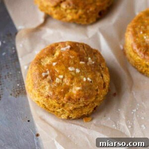 Pumpkin biscuits for one, round and golden brown