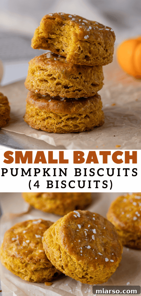 Vertical Pinterest image for 4 biscuit recipe