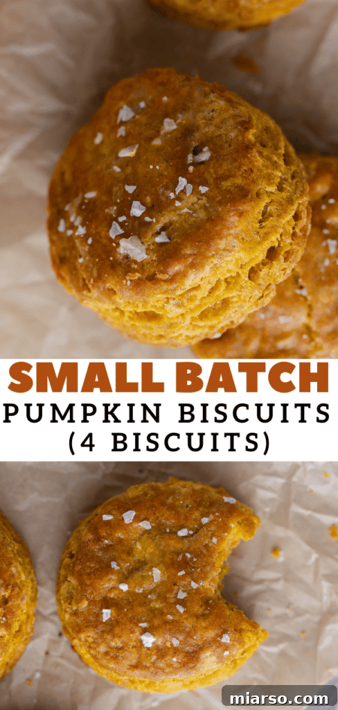 Pinterest photo collage showing pumpkin biscuits