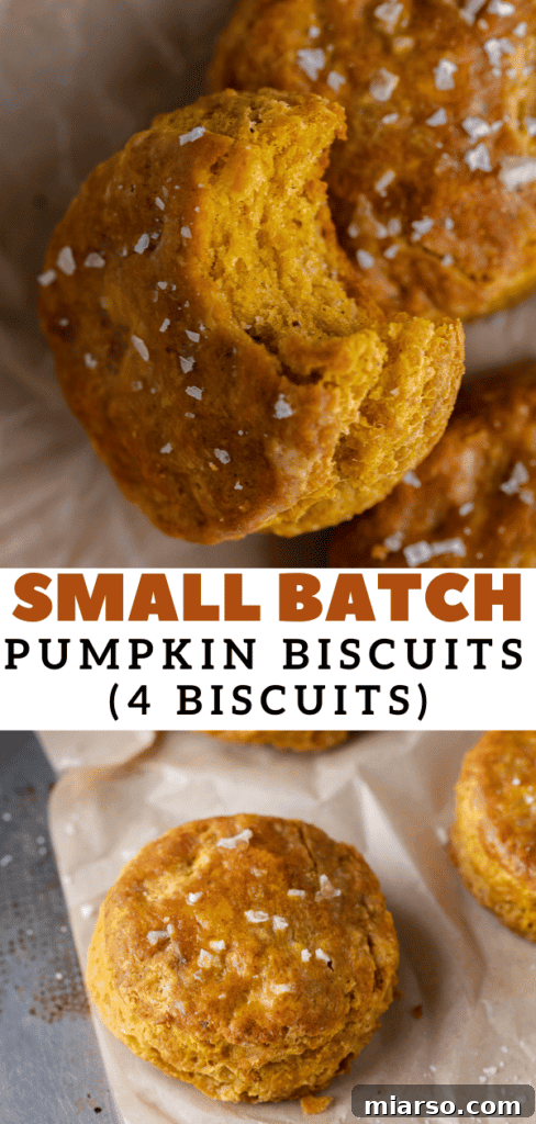 Another Pinterest photo collage for pumpkin biscuits