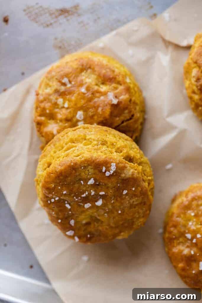 Flaky pumpkin biscuits ready to be served