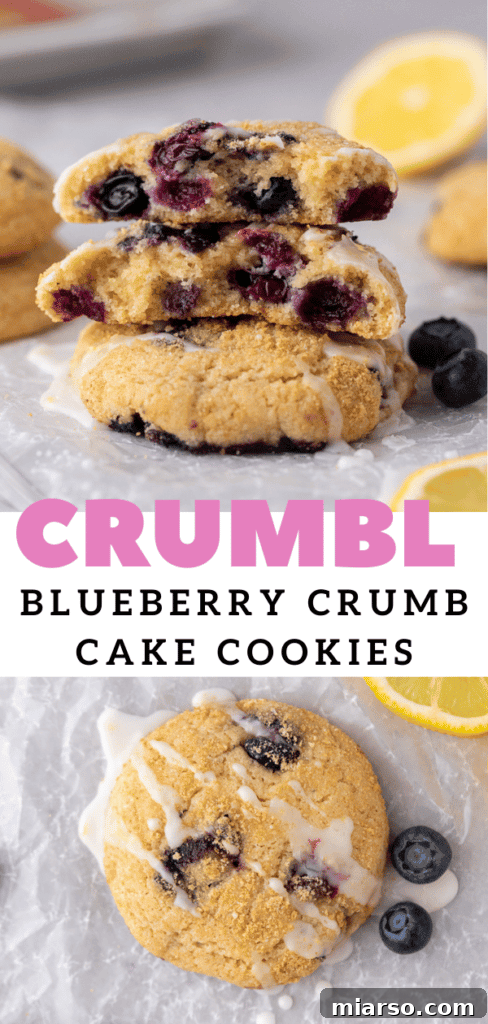 Bakery-Style Soft Blueberry Crumb Cake Cookies 15 Texture of blueberry muffin top cookies