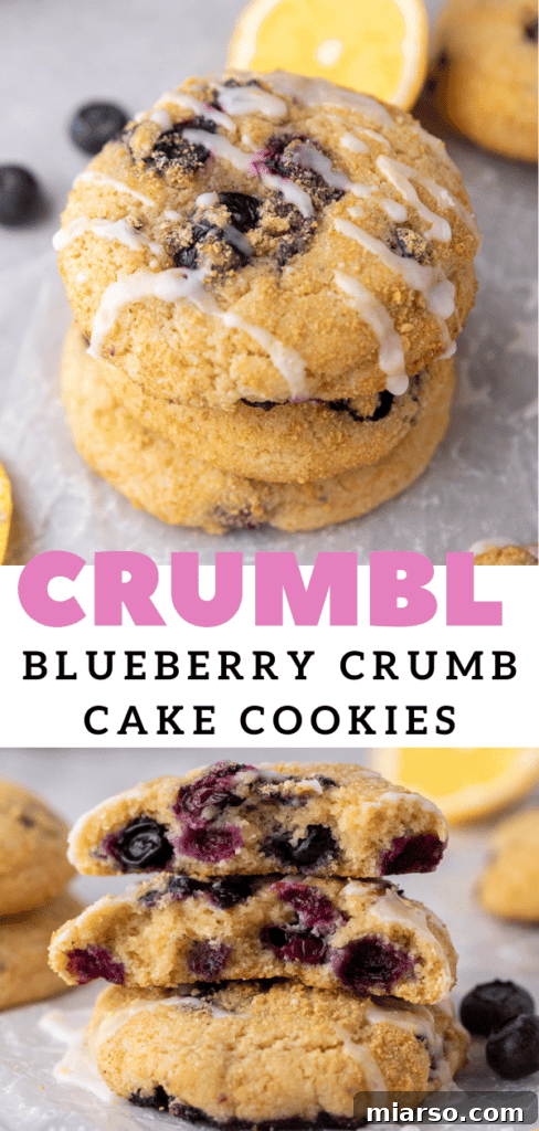 Bakery-Style Soft Blueberry Crumb Cake Cookies 16 Texture of blueberry muffin top cookies