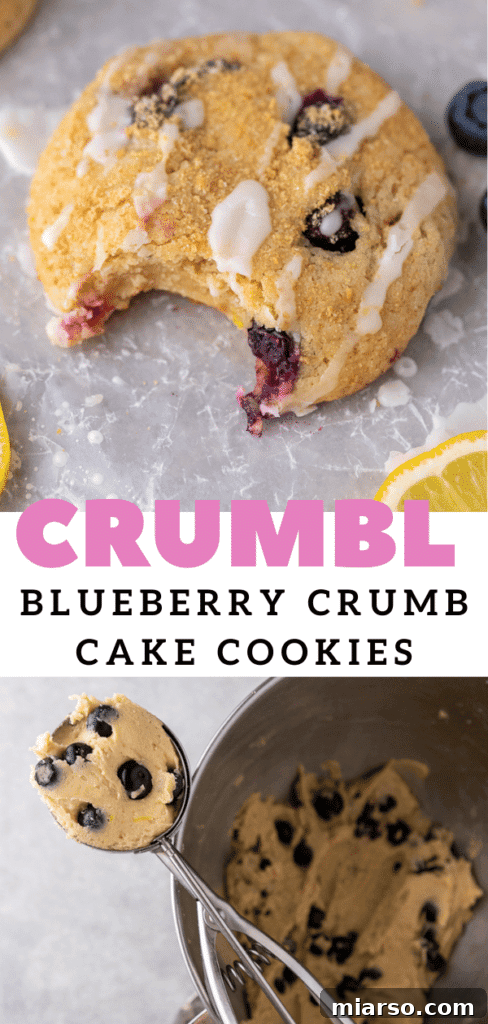 Bakery-Style Soft Blueberry Crumb Cake Cookies 17 Cakey blueberry cookies