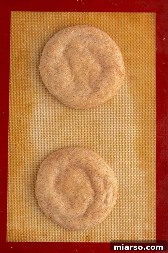 Tray of freshly baked snickerdoodle cookies, unfrosted