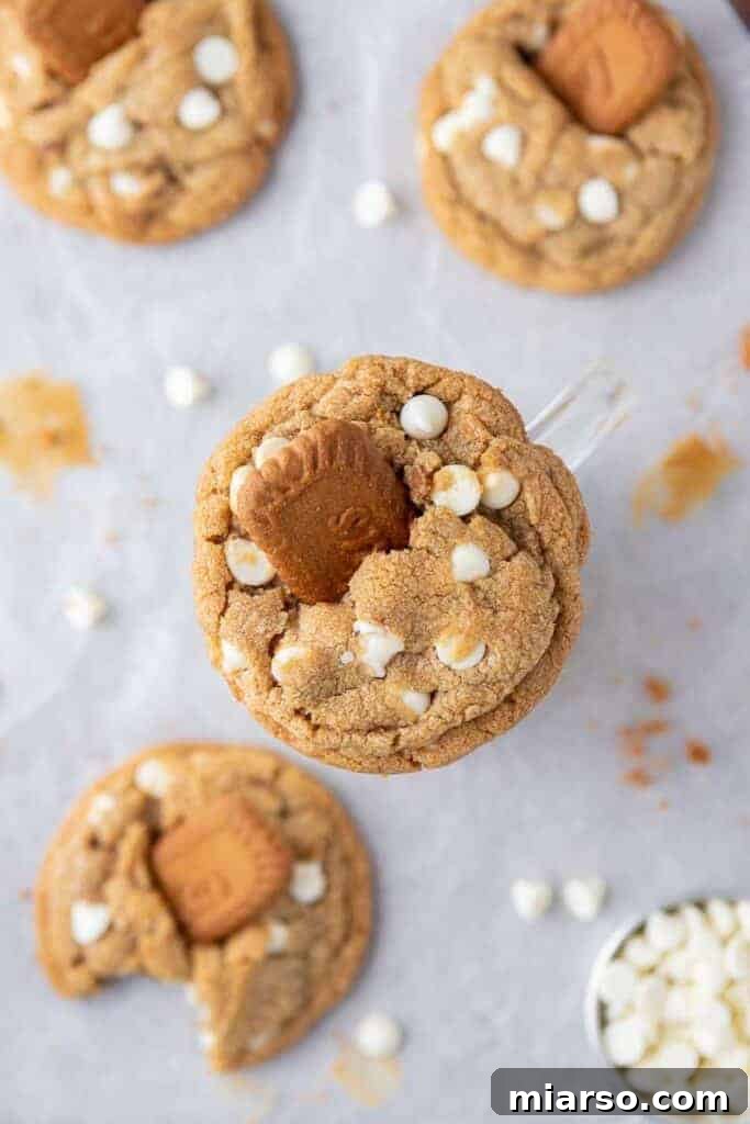 The Best Crumbl Biscoff White Chip Cookies Recipe 2 Overhead shot of speculoos cookies, golden brown and crisp, ready for crushing or topping on Crumbl Biscoff white chip cookies