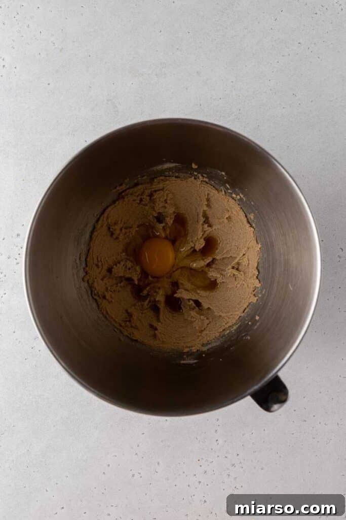 Creamed butter and sugars with egg and vanilla in a mixing bowl for double chocolate cookie dough.
