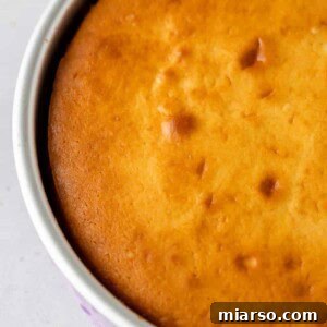 10 secrets on how to make box cake taste homemade