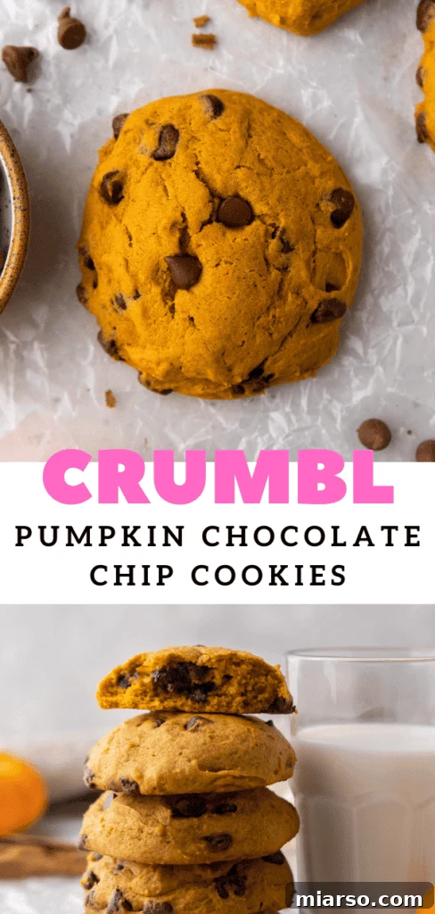 Gourmet Pumpkin Chocolate Chip Muffin Top Cookies 13 Fall themed muffin top cookies on a wire rack