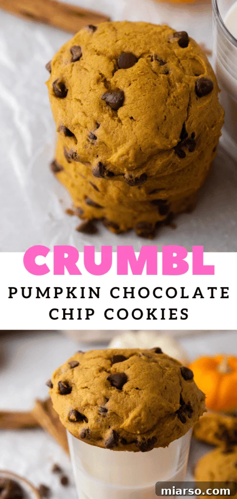 Gourmet Pumpkin Chocolate Chip Muffin Top Cookies 14 Overhead view of Crumbl pumpkin chocolate chip cookies arranged on a plate