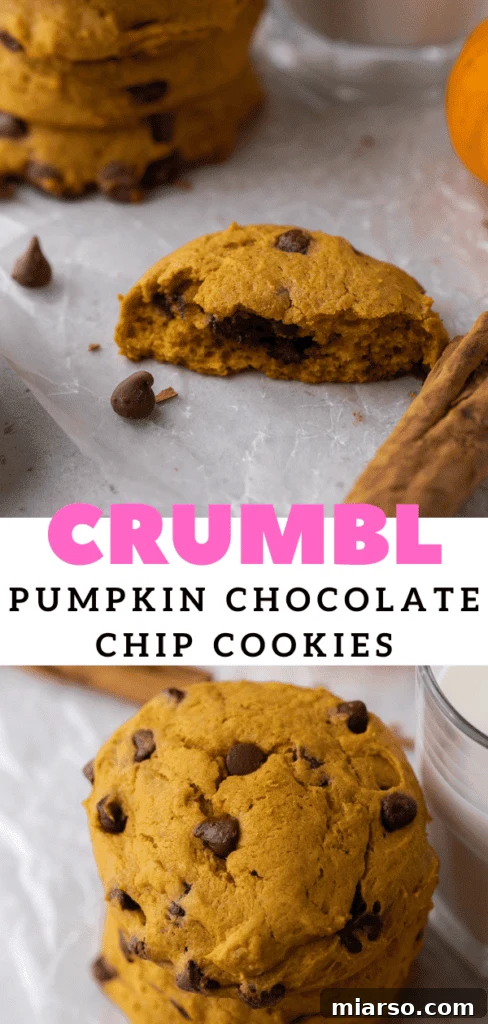Gourmet Pumpkin Chocolate Chip Muffin Top Cookies 15 Several muffin top style cookies with chocolate chips