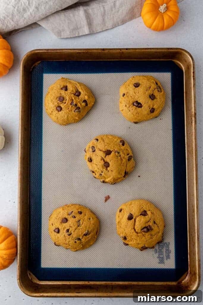 Gourmet Pumpkin Chocolate Chip Muffin Top Cookies 8 Freshly baked pumpkin chocolate chip cookies on a baking sheet