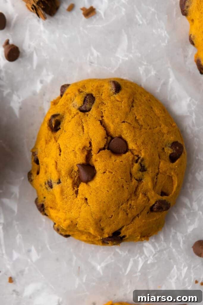 Gourmet Pumpkin Chocolate Chip Muffin Top Cookies 9 Close up of a warm Crumbl pumpkin chocolate chip cookie with melted chocolate