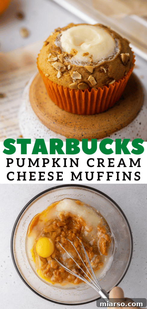 Starbucks pumpkin cream cheese muffins 