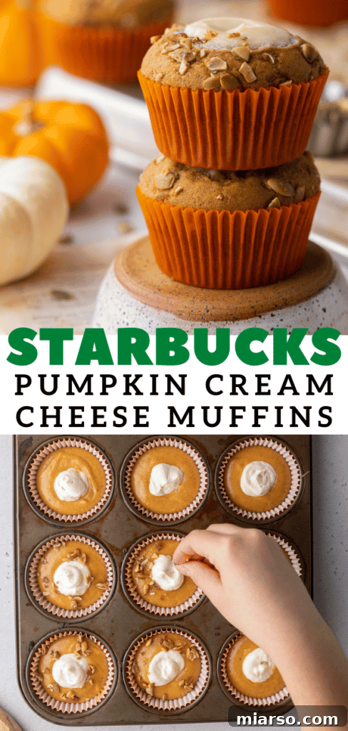 Starbucks pumpkin cream cheese muffins 