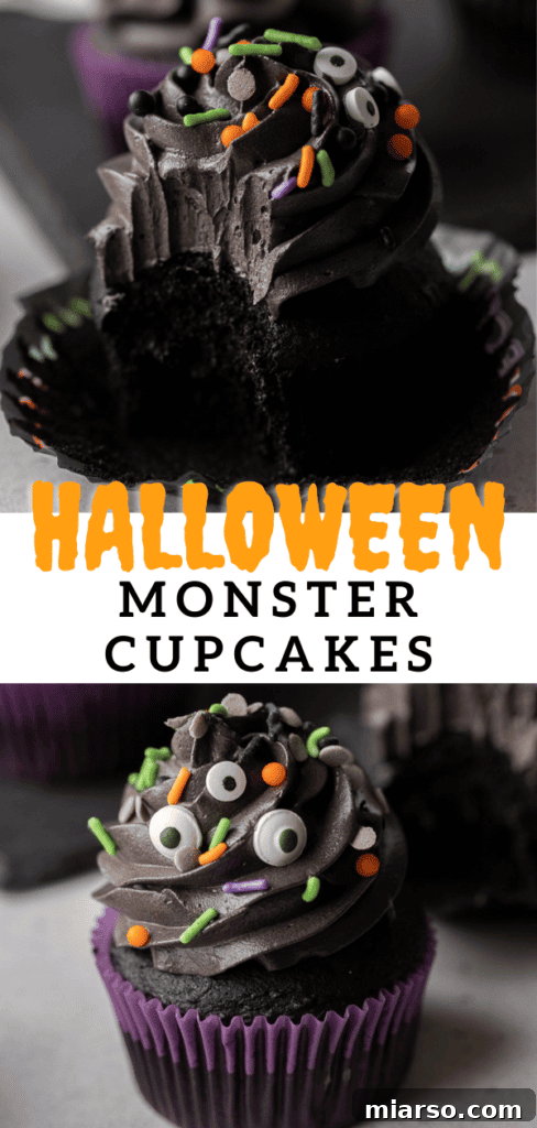 Midnight Velvet Monster Cupcakes 22 black velvet monster cupcakes