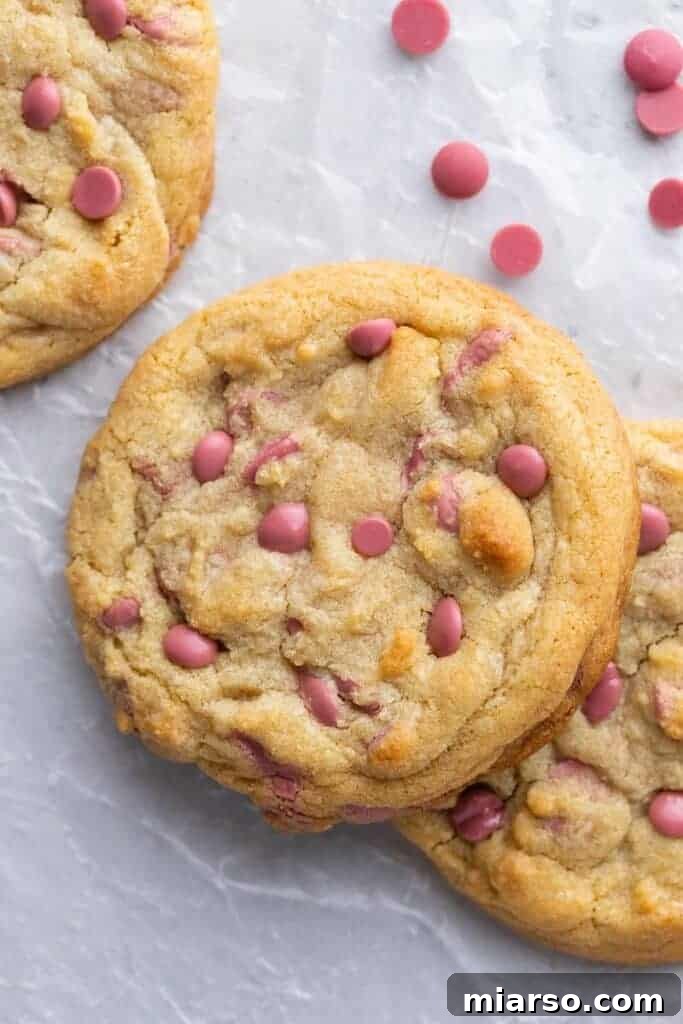 Overhead shot of thick, perfectly round ruby chocolate chip cookies on a baking sheet, cooling after baking