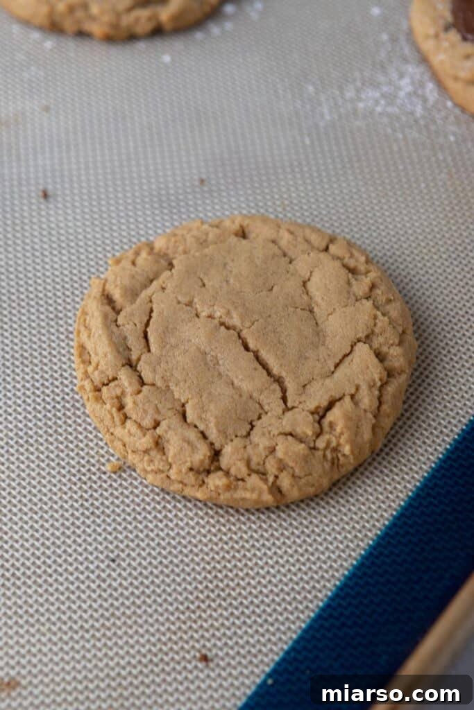 Freshly baked peanut butter cookie base.