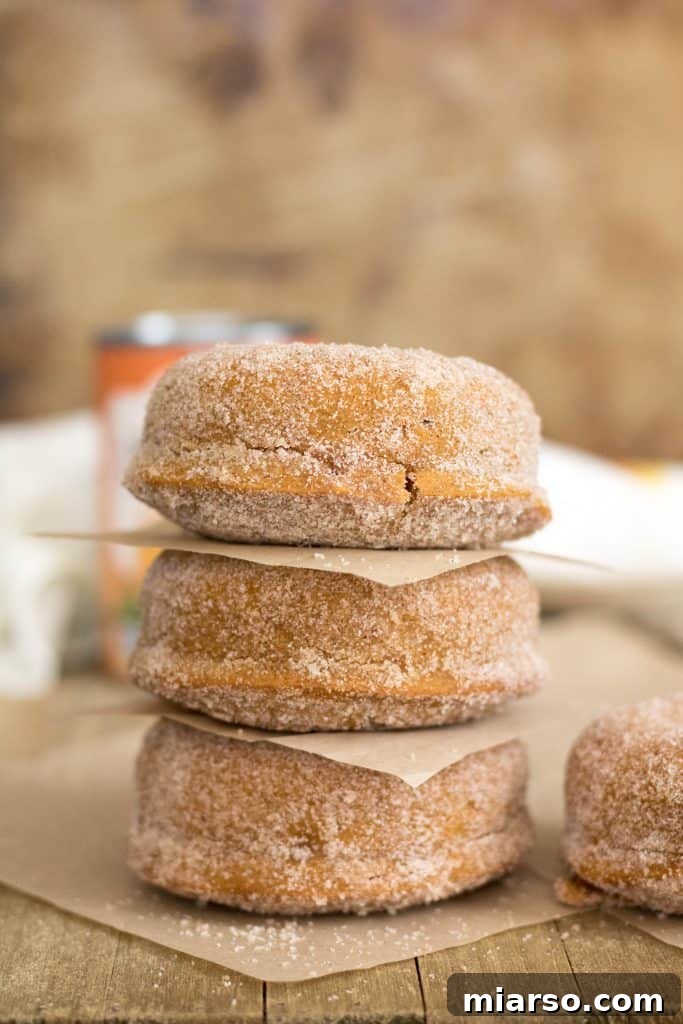 The best pumpkin donut Thanksgiving dessert recipes, easy and delicious.