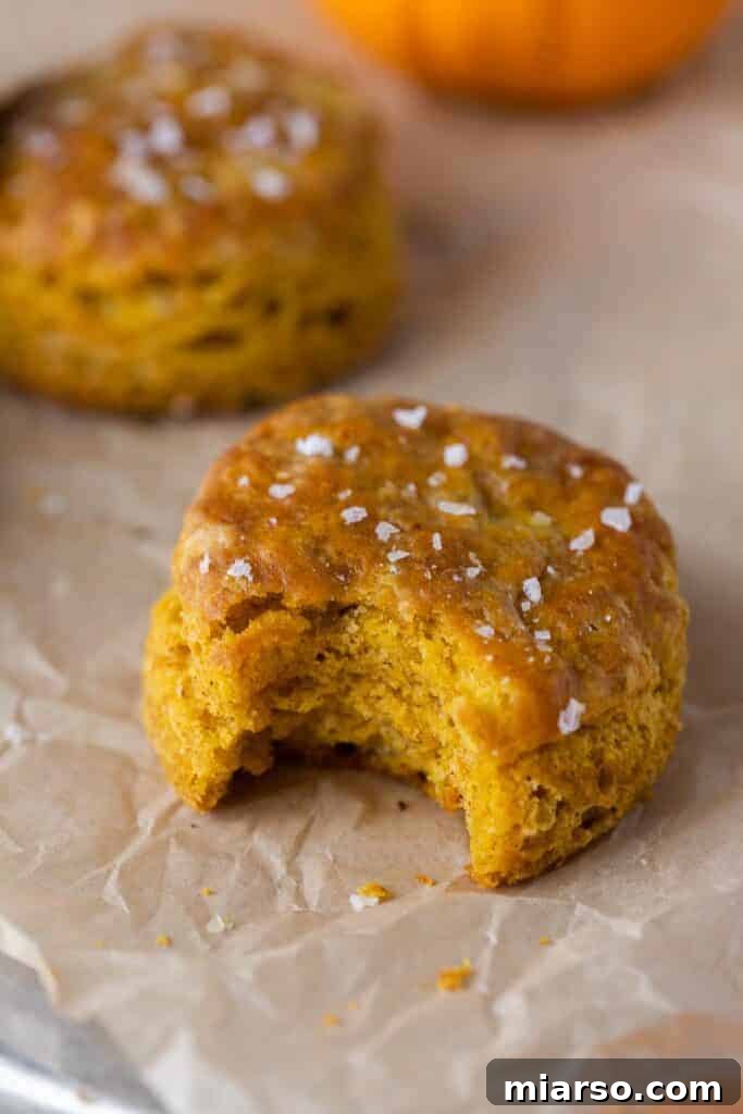 Small batch biscuits with sea salt, a quick and easy recipe.