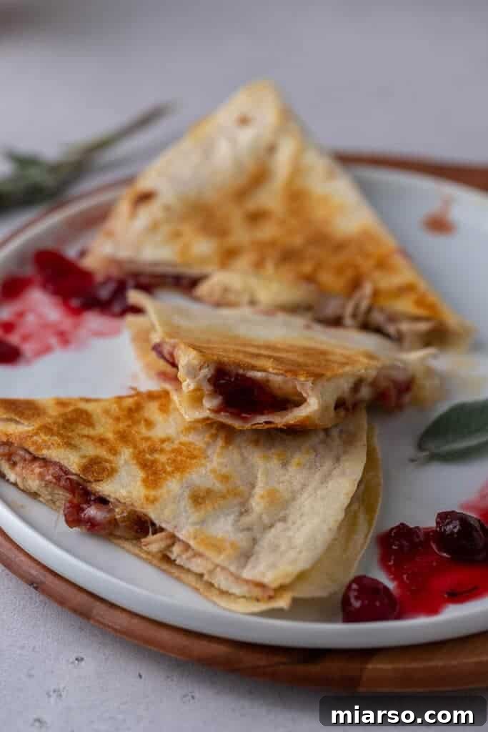 Close-up of a cranberry turkey quesadilla, showing the vibrant cranberry sauce and melted cheese.