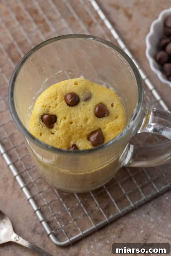 A delicious vanilla protein mug cake with chocolate chips, ready to be enjoyed.