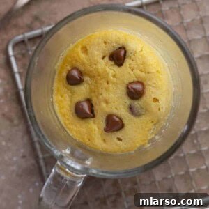 Delicious and healthy protein mug cake with chocolate chips.