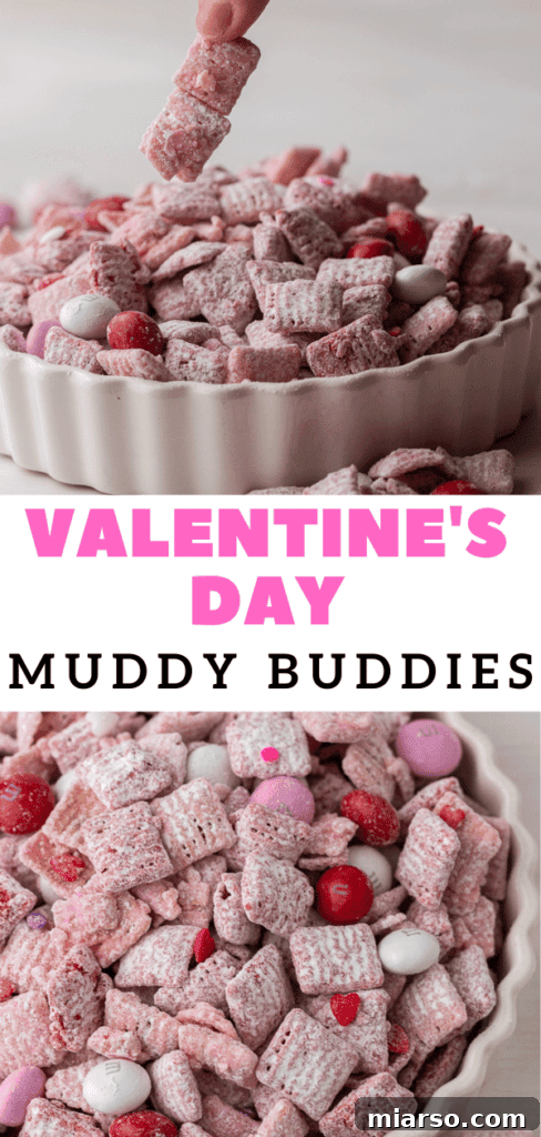 Cupid's Crunch 20 Pinterest pin image for Valentine's Day puppy chow, with pink and red cereal.