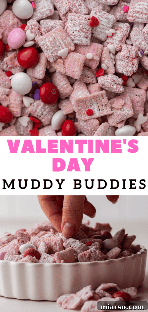 Cupid's Crunch 22 Pinterest pin image for Valentine's Day muddy buddies, featuring a styled bowl of the snack.