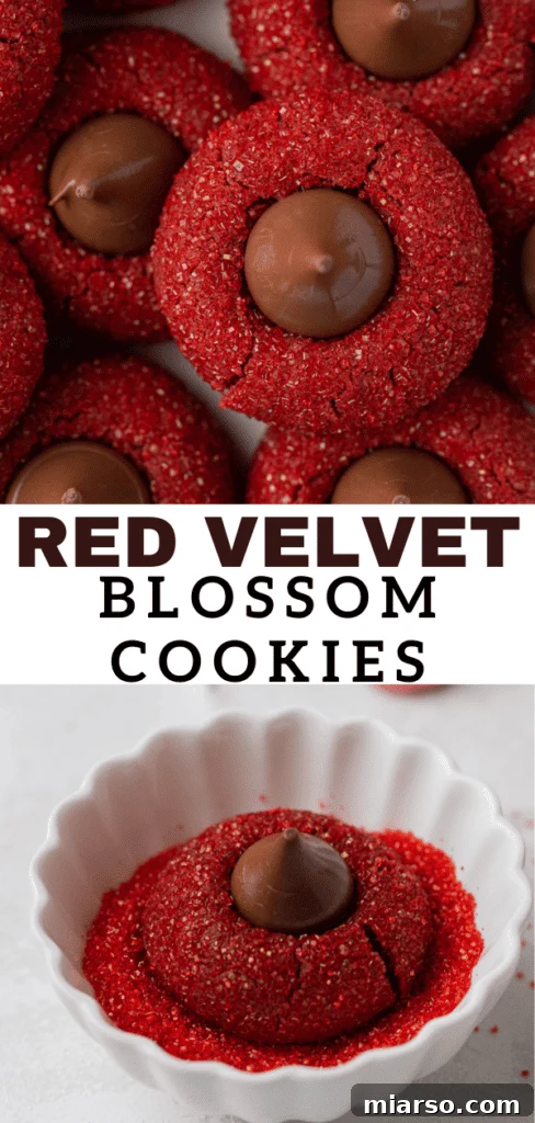 Hershey's Kissed Red Velvet Cookies 14 Collection of three red velvet blossom cookies, coated in red sanding sugar and topped with a Hershey's Kiss, perfect for Pinterest