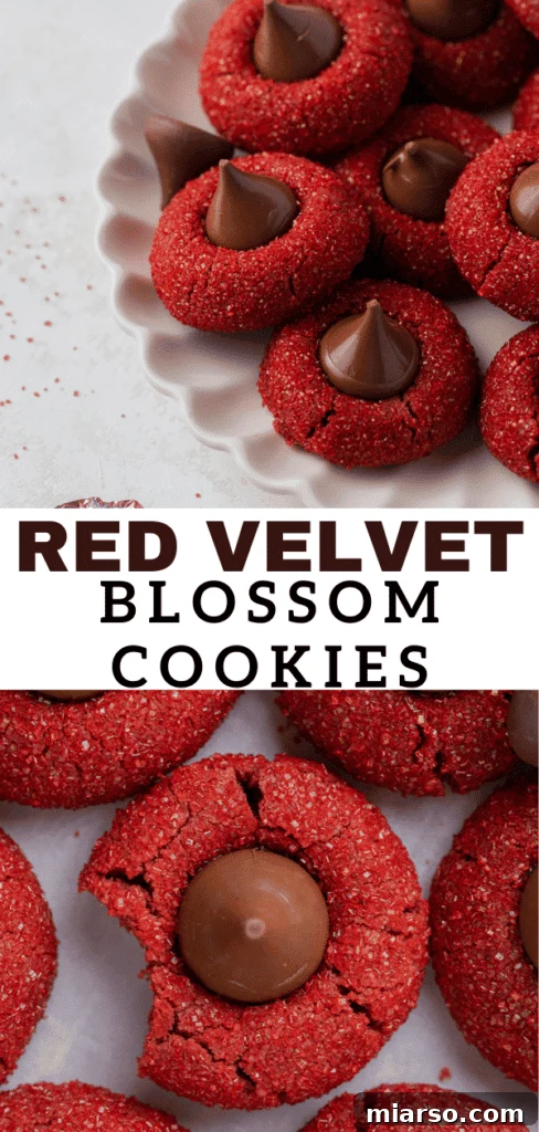 Hershey's Kissed Red Velvet Cookies 15 Red velvet blossoms with delicate red sanding sugar, ready for a holiday spread