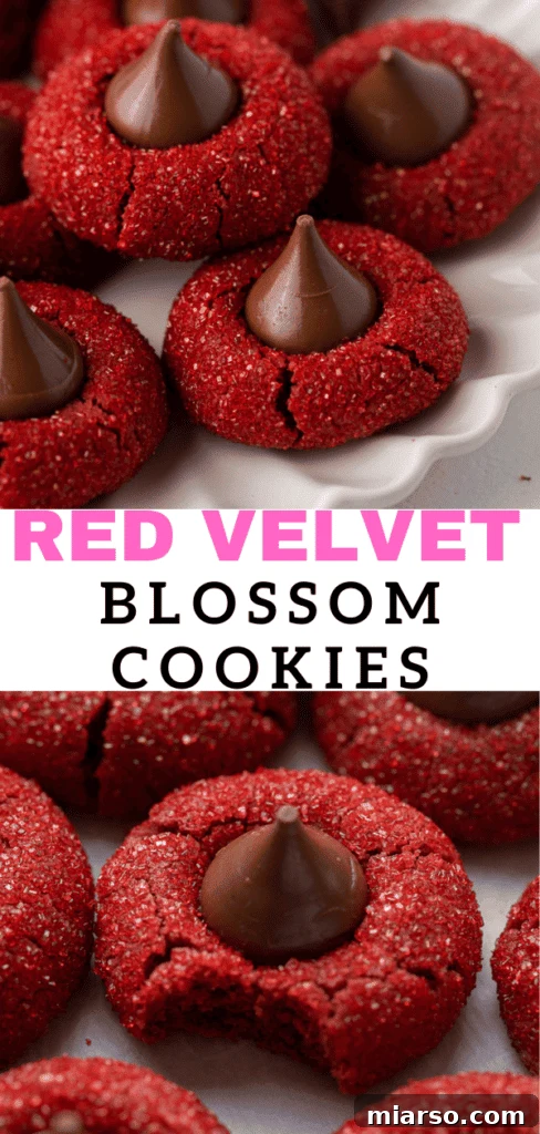 Hershey's Kissed Red Velvet Cookies 16 Close-up of three red velvet blossoms with shiny red sugar and chocolate kisses