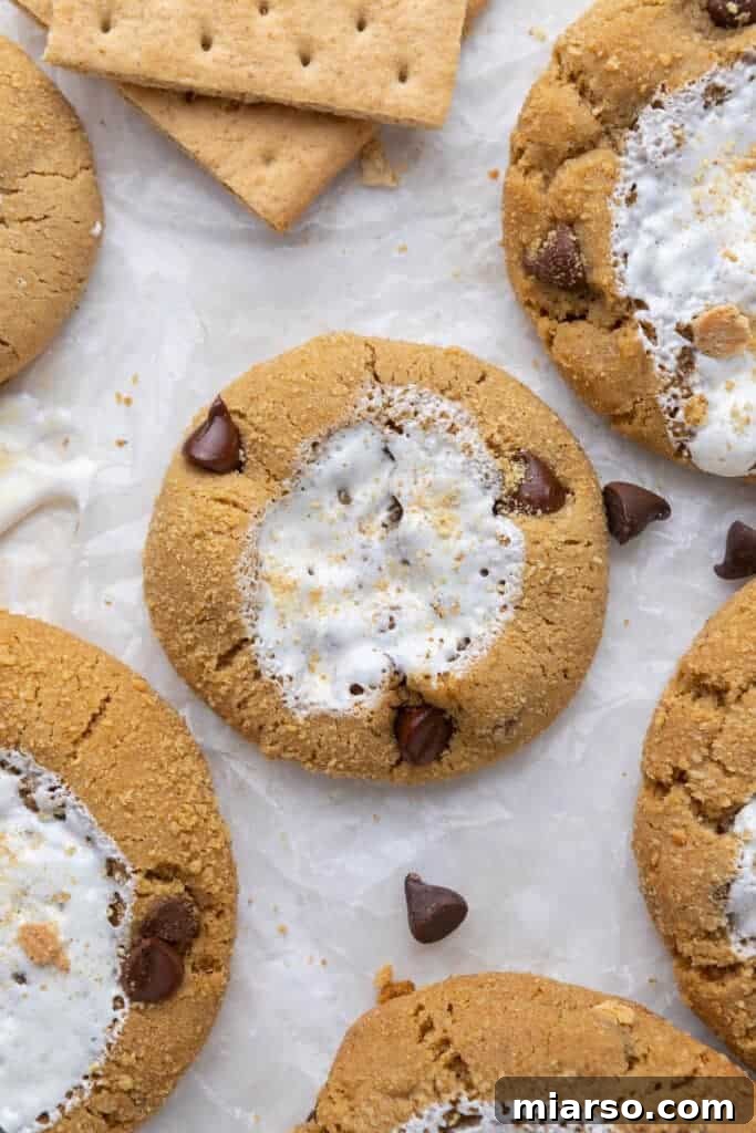 Mini Crumbl S'mores catering cookies