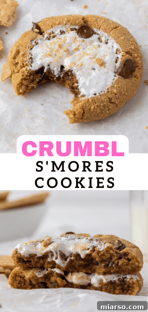 Delicious Crumbl S'mores cookies with chocolate chips, perfect for sharing