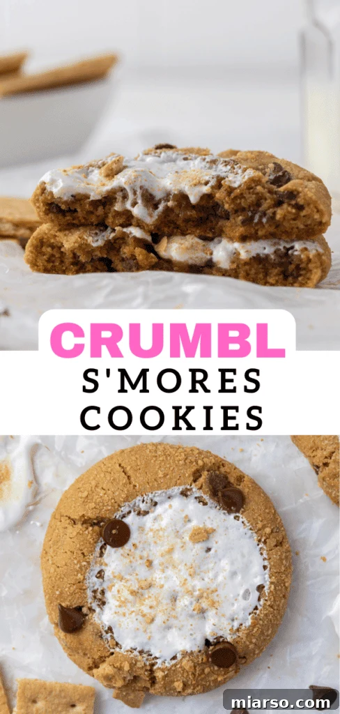 Gooey S'mores cookies, a perfect copycat Crumbl recipe for homemade dessert