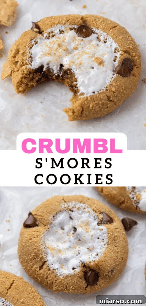 Chocolate chip S'mores cookies, homemade dessert with marshmallow fluff