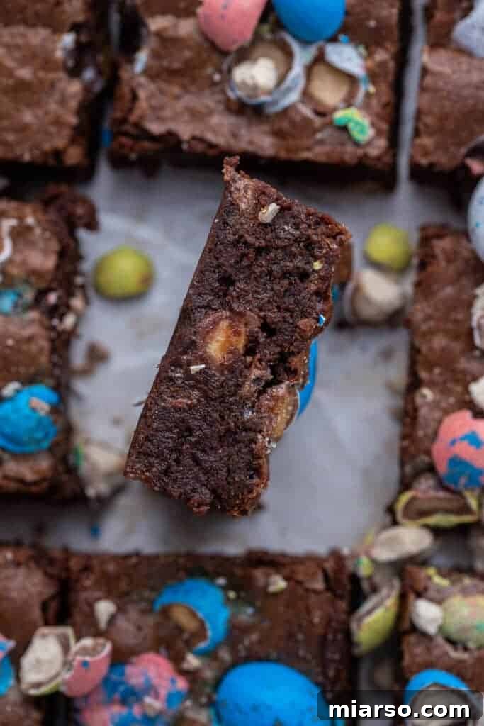 Overhead shot of fudgy Easter egg brownies