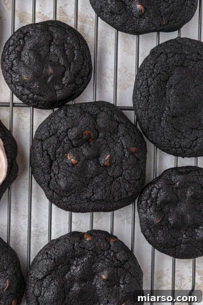 Step 4: Freshly baked dark chocolate cookies, perfectly round and ready for frosting.